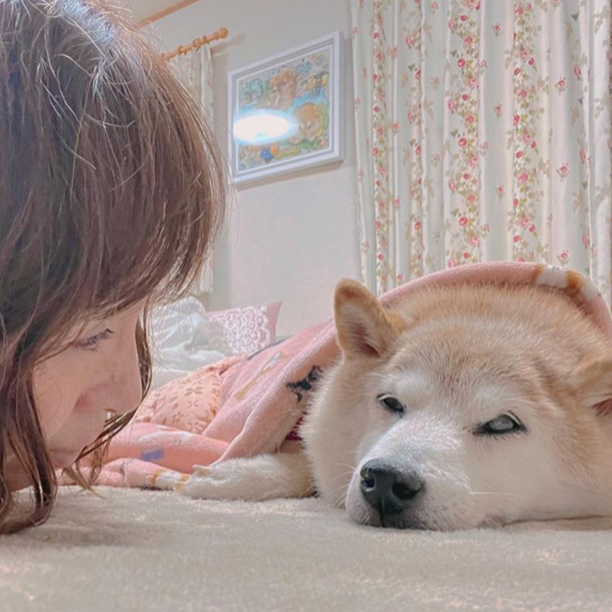 What kind of dog 2024 is the doge dog